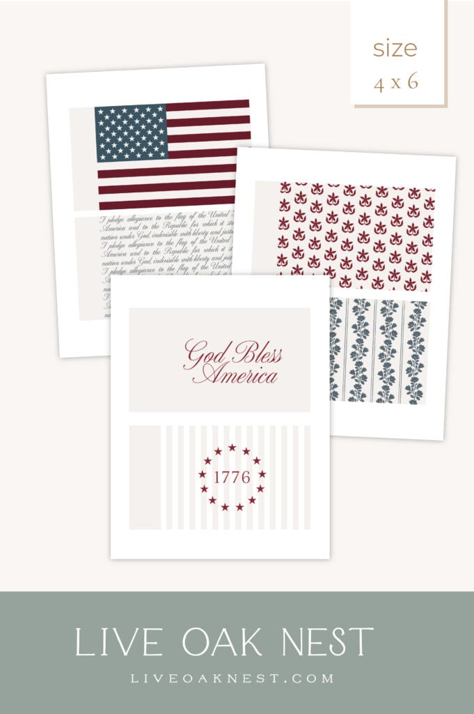 DIY Americana Fabric Flag Printable Design