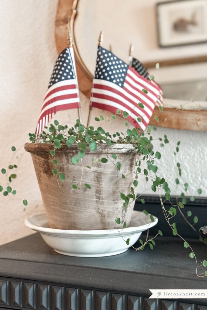 Cozy Patriotic Plant decor, Small decorative American Flags, Angel Vine Houseplant
